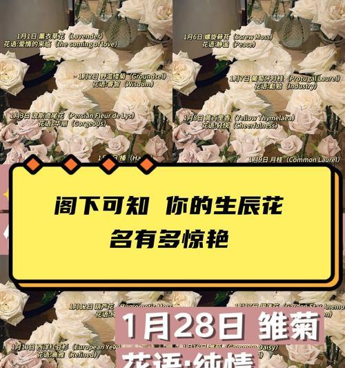 花语的意义是什么？如何理解花的语言？