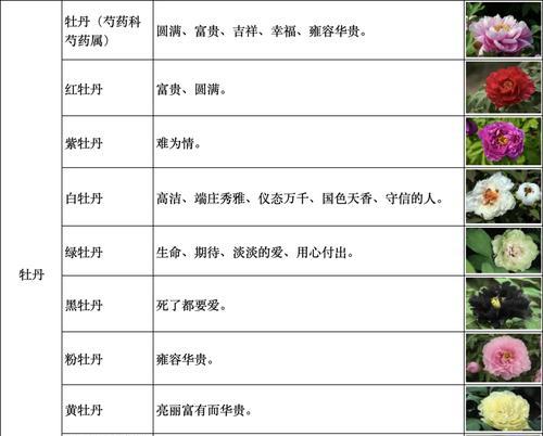 花语的意义是什么？如何理解花的语言？