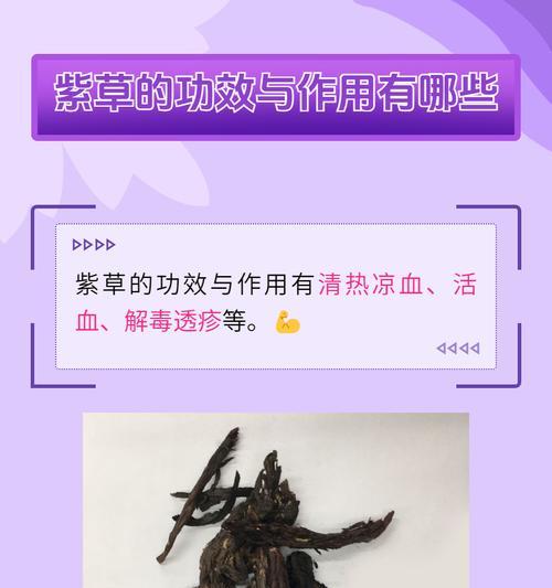 紫芳草的养殖方法和常见问题是什么？