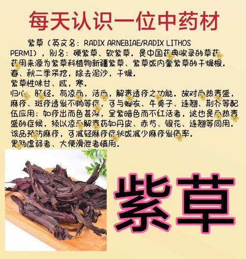 紫芳草的养殖方法和常见问题是什么？