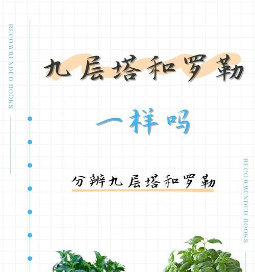 罗勒粉品种的用途有哪些？如何挑选优质罗勒粉？