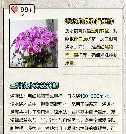 兰花花期浇水的正确方法是什么？