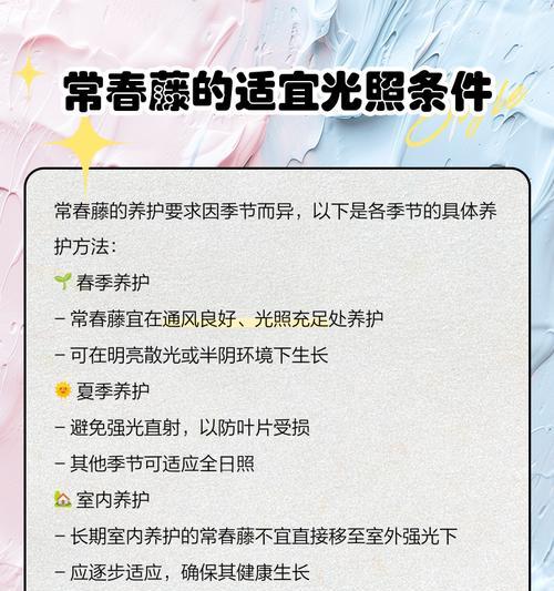 常春藤的养护方法有哪些？