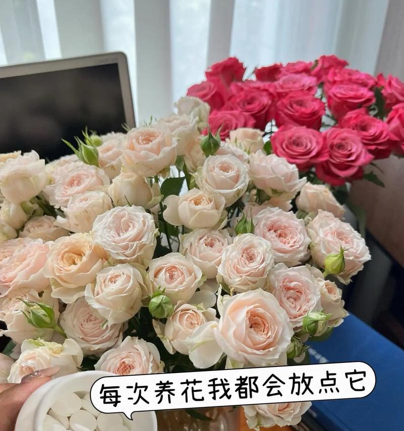 如何延长花卉的花期？