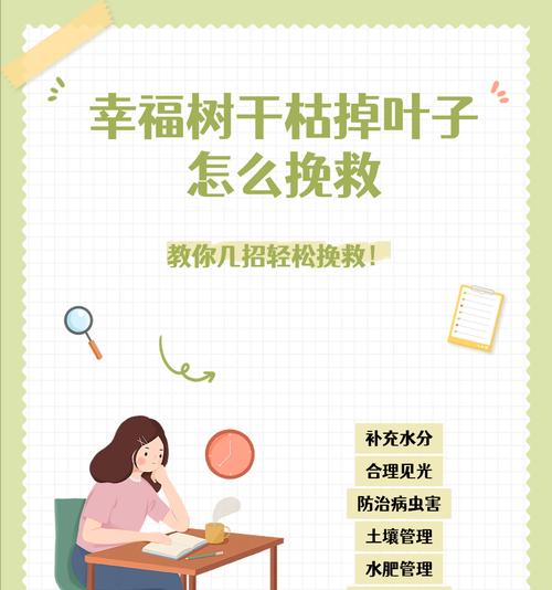 幸福树遭受虫害怎么办？如何彻底清除？