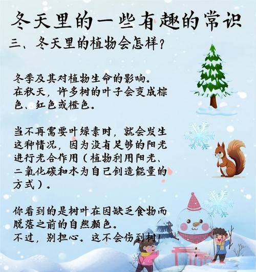 室外植物冬季保护措施有哪些？如何确保安全过冬？