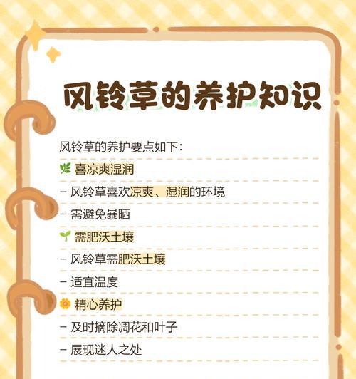 风铃草有哪些品种？各自的花语和用途是什么？
