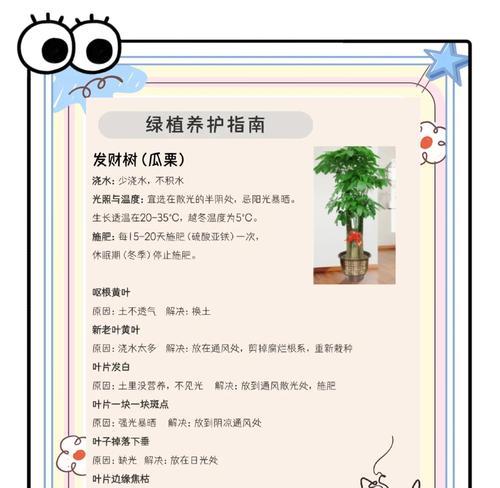 夏天植物养护需要注意哪些问题？