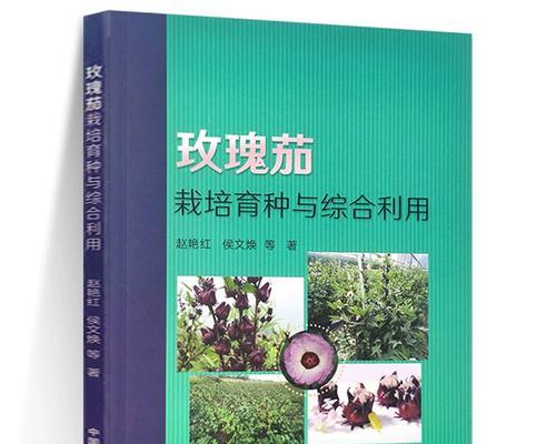 玫瑰茄种植的步骤和技巧是什么？