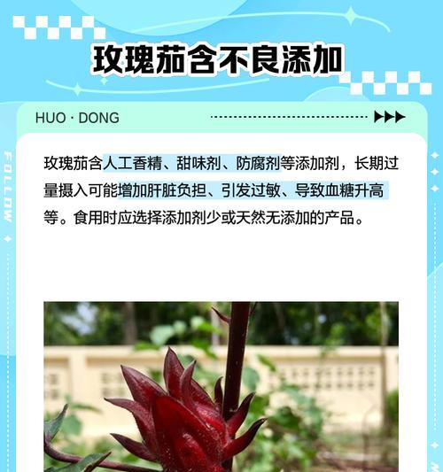 玫瑰茄种植的步骤和技巧是什么？