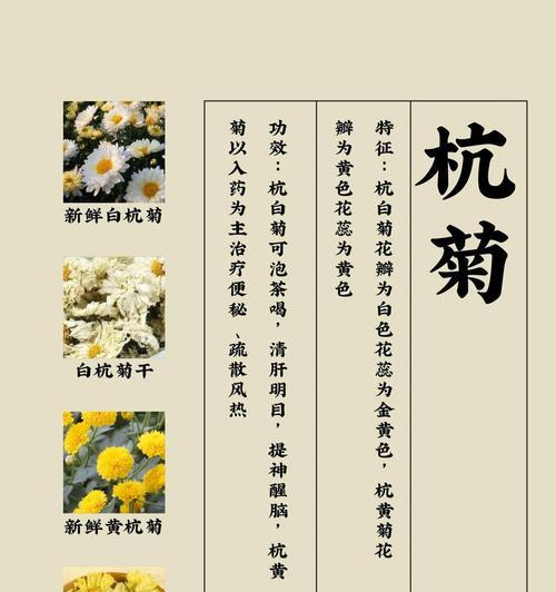 菊花有哪些功效和作用？