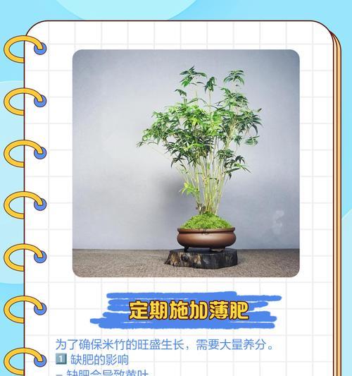 家养竹子叶子发黄如何处理？家养竹子黄叶的解决方法是什么？