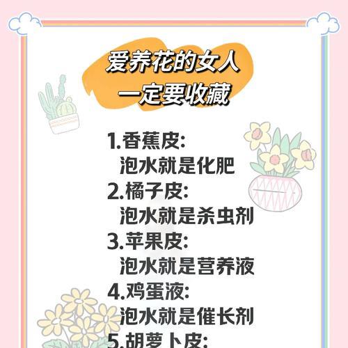花卉养护的基本步骤和技巧有哪些？