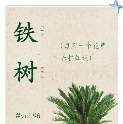铁树繁殖的正确方法是什么？