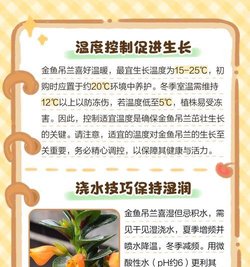 吊兰旺盛生长的秘诀是什么？