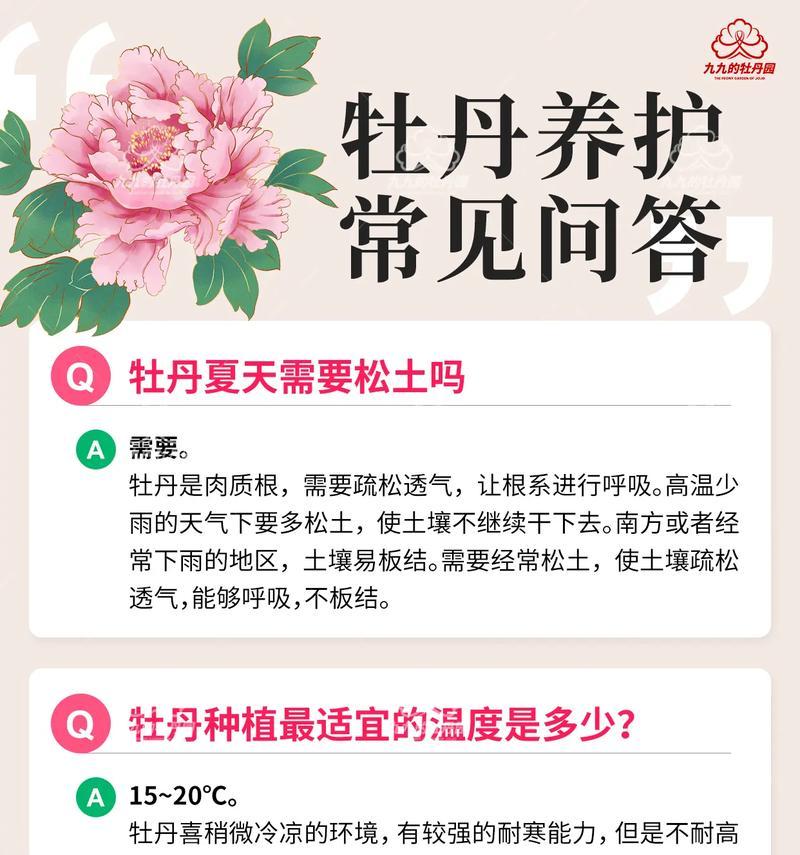 牡丹换盆的最佳时期是什么时候？