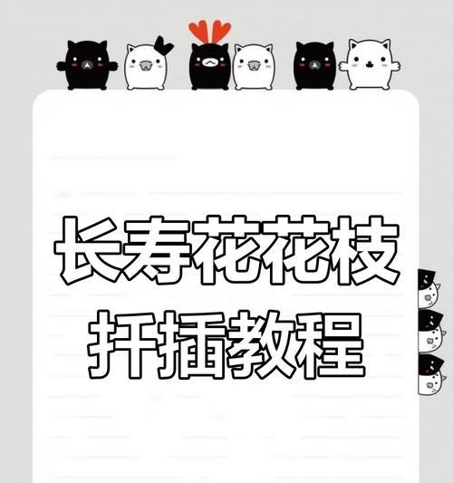 长寿花扦插方法是什么？长寿花扦插的步骤有哪些？