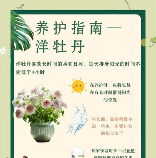 牡丹花怎么养家庭养法？家庭养护技巧有哪些？