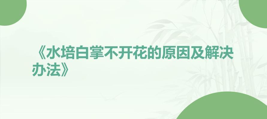 白掌不开花的常见原因和解决方法是什么？