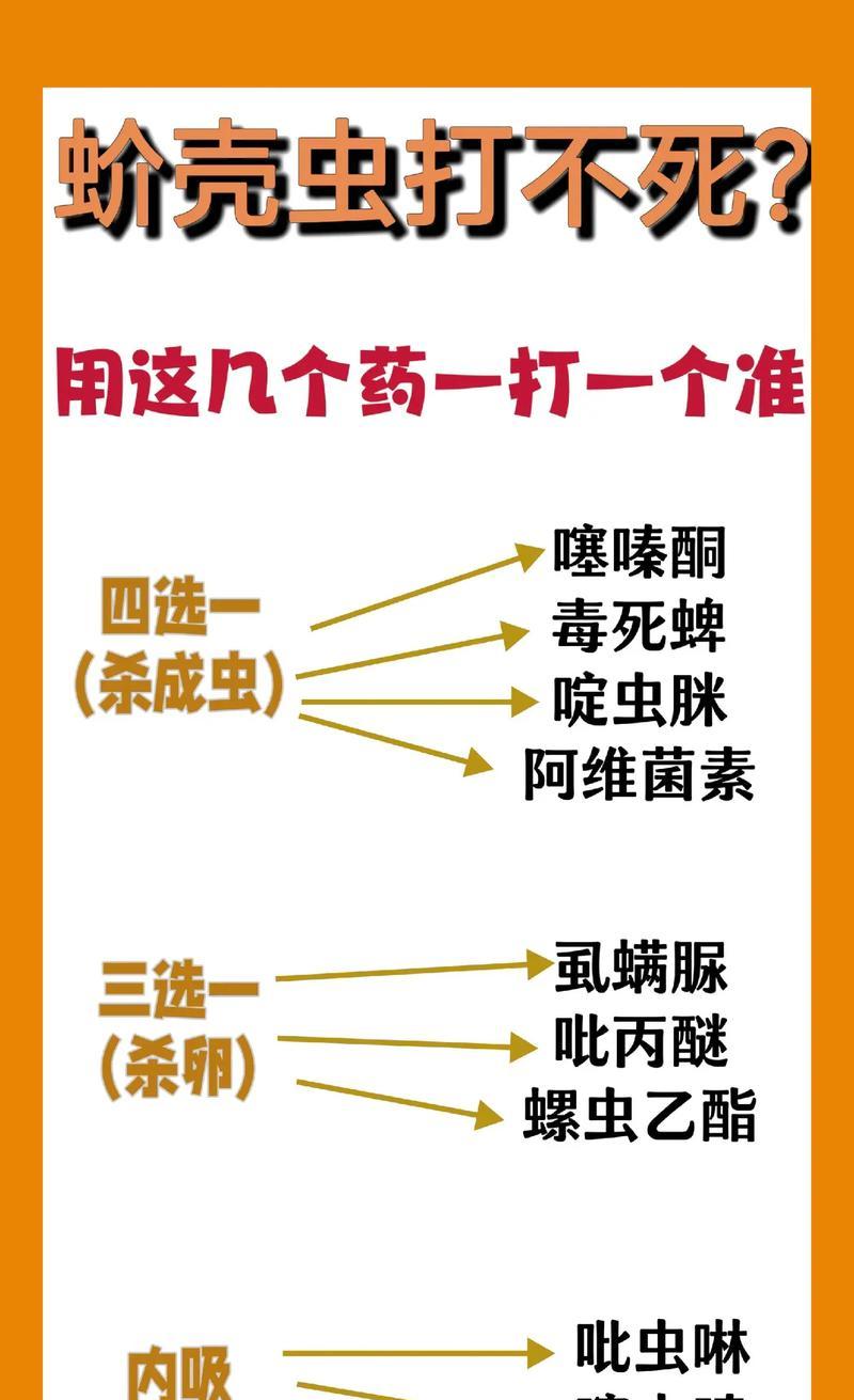 发财树出现介壳虫怎么办？如何有效防治？