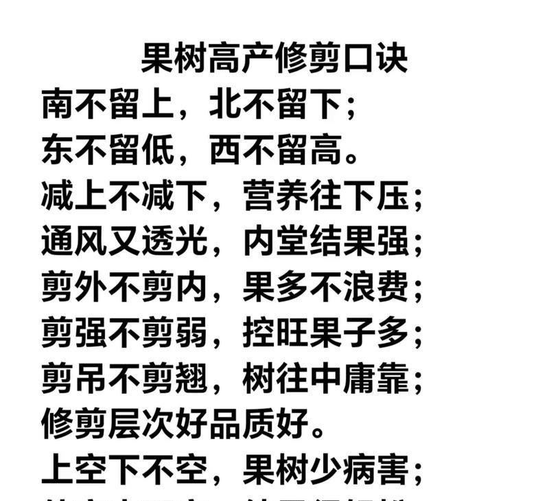 棕树的修剪技巧有哪些？如何让棕树长得更茂盛？