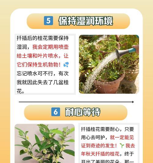 桂花树什么时候开花？如何养护才能促进花期？