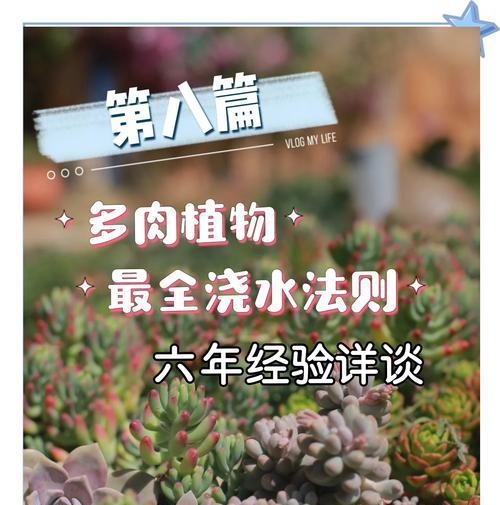 晚上浇水对植物有害吗？晚上浇花的正确方法是什么？