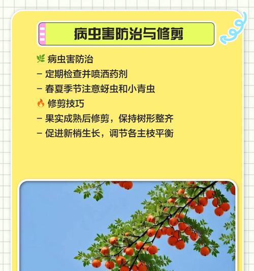 橘子树的繁殖方法是什么？
