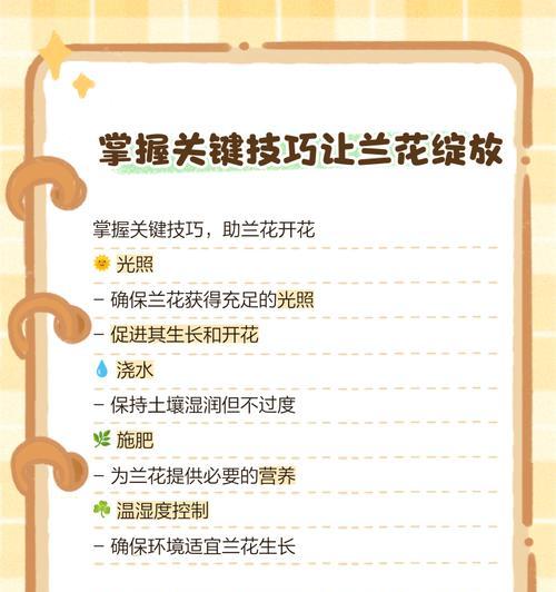 兰花的养护方法是什么？如何保持其长期开花？
