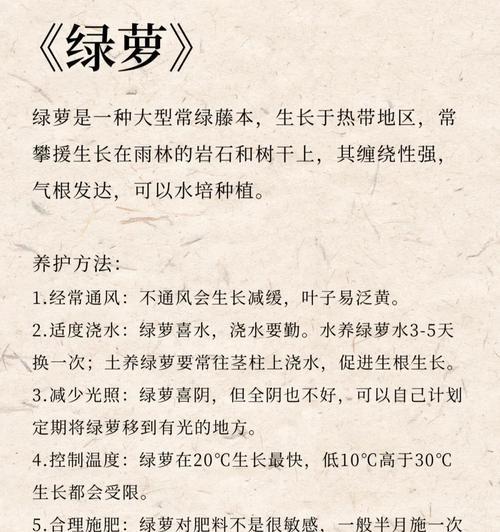 绿萝的养殖方法和常见问题解答？