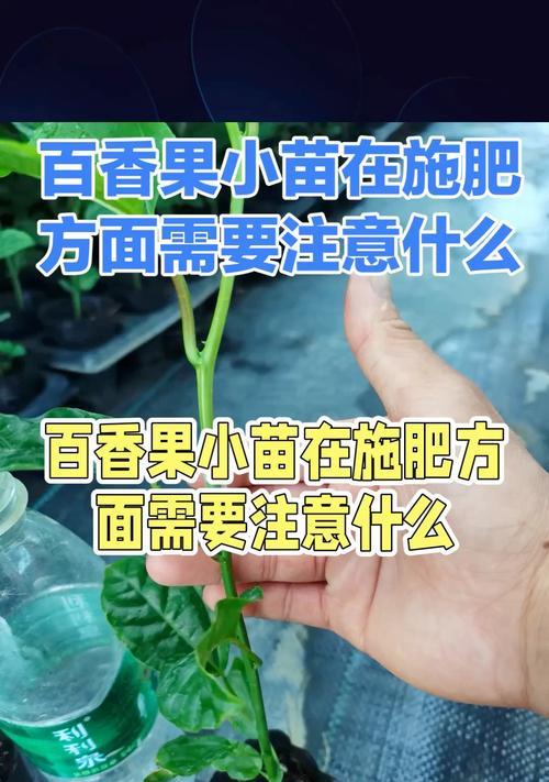 百里香种植的步骤和技巧是什么？