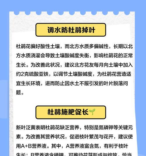杜鹃花掉叶子是什么原因？如何预防和处理？