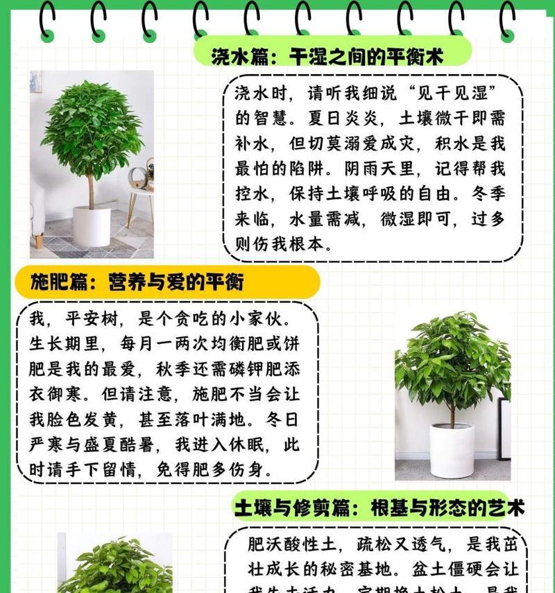 花盆树的养护方法有哪些？如何正确养护花盆树？