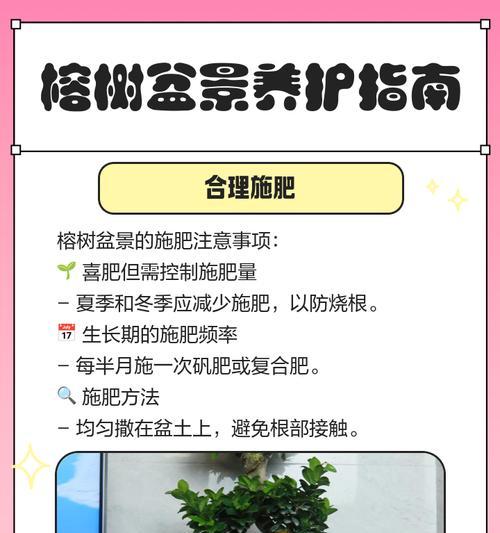 花盆树的养护方法有哪些？如何正确养护花盆树？