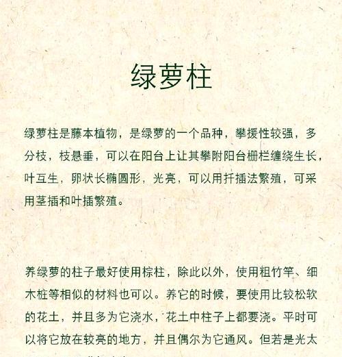 绿萝的栽培技巧和注意事项有哪些？