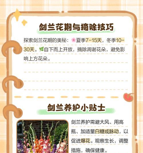 兰花的养殖技巧和注意事项是什么？