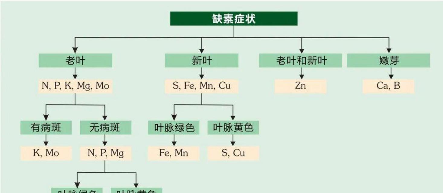 植物生长必需的营养成分有哪些？