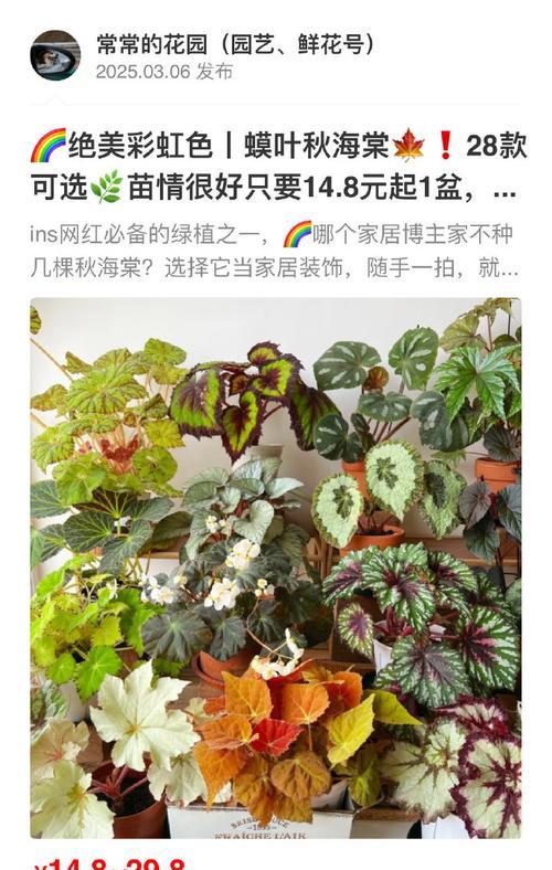 植物的品种大全有哪些？如何选择适合的植物品种？