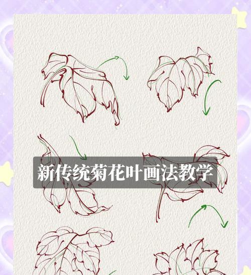 菊花叶片发黄的原因及解决方法是什么？