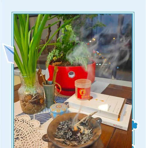 鼠尾掌怎么养长的快？有哪些促进生长的技巧？