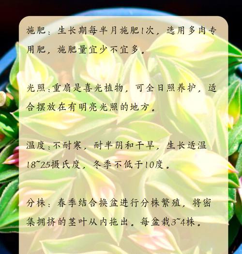 玉扇花的养护方法有哪些？