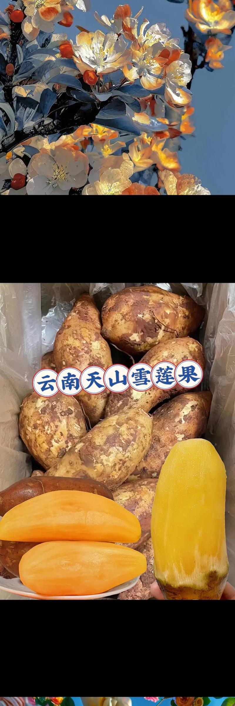 雪莲果的花有什么作用？雪莲果的繁殖方式是什么？