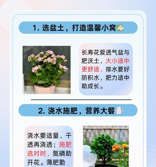 长寿花分盆的方法是什么？如何正确进行长寿花分盆？