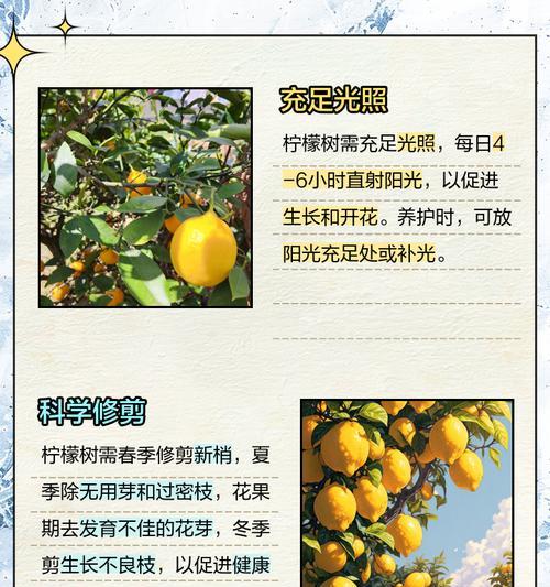 柠檬树施肥的最佳时机和方法是什么？