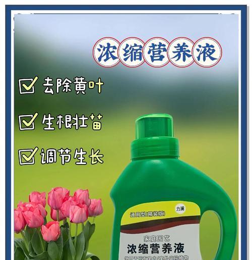 养花营养液的正确使用方法是什么？