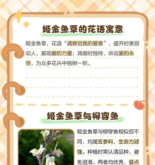 金鱼草养殖的正确步骤是什么？