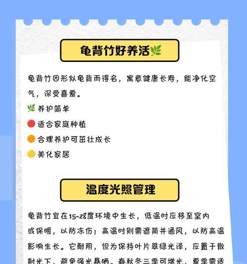 龟背竹的养殖环境和护理技巧是什么？