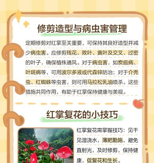红掌有哪些品种？红掌品种的介绍和养护方法？
